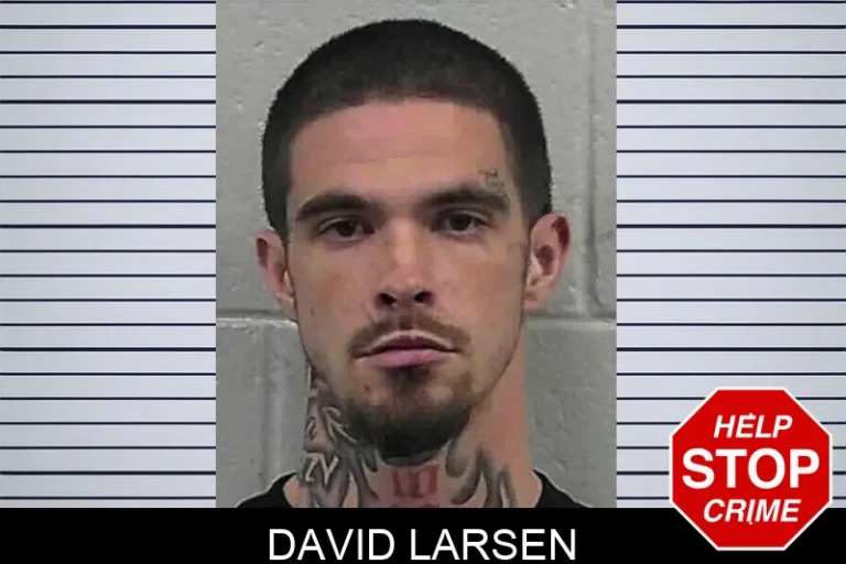 David Larsen
