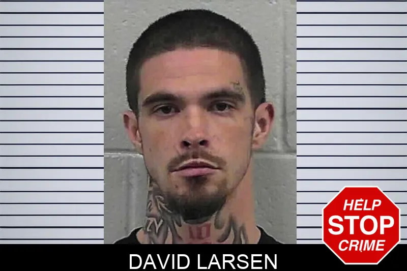 David Larsen mugshot
