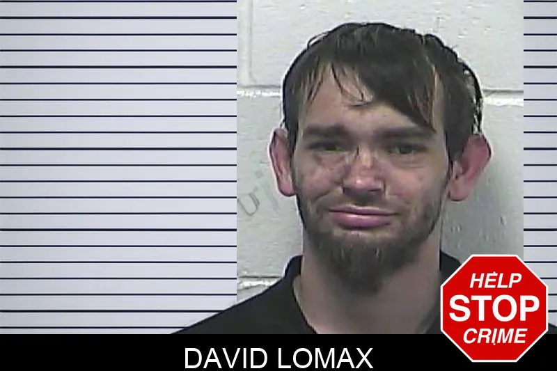 David Lomax mugshot