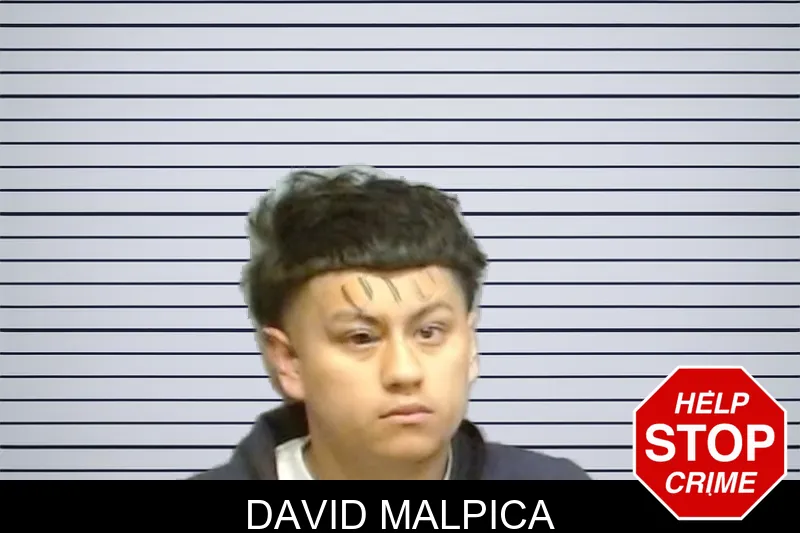 David Malpica mugshot – Fulton County , Georgia David Malpica mugshot