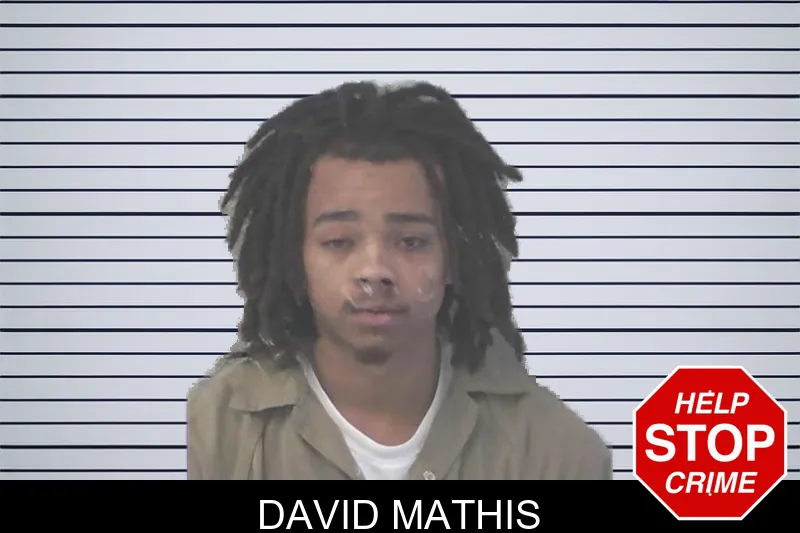 David Mathis mugshot