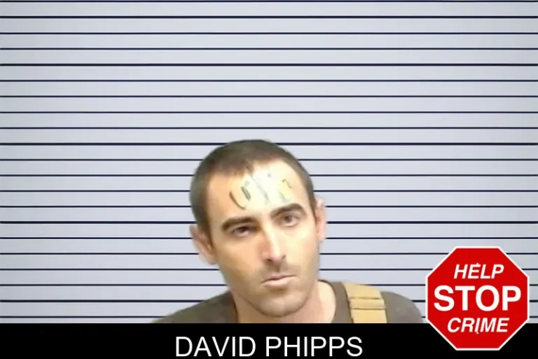 David Phipps