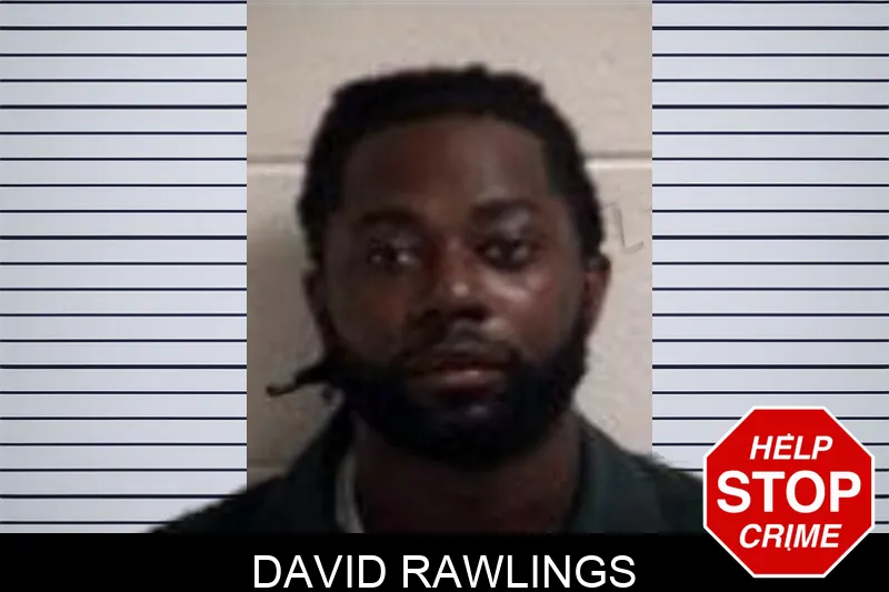 David Rawlings mugshot