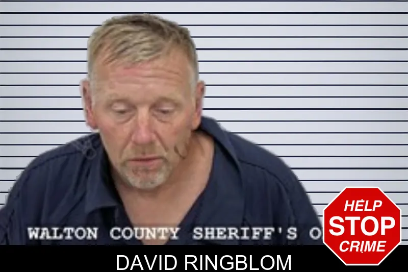 David Ringblom mugshot