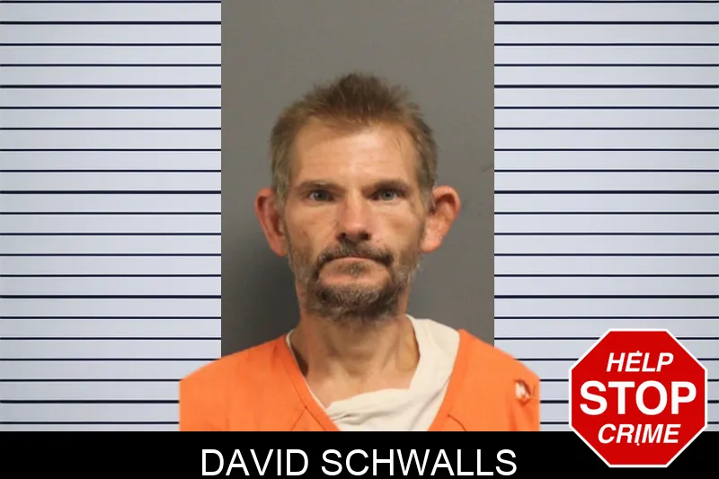 David Schwalls mugshot – Lumpkin County , Georgia David Schwalls mugshot
