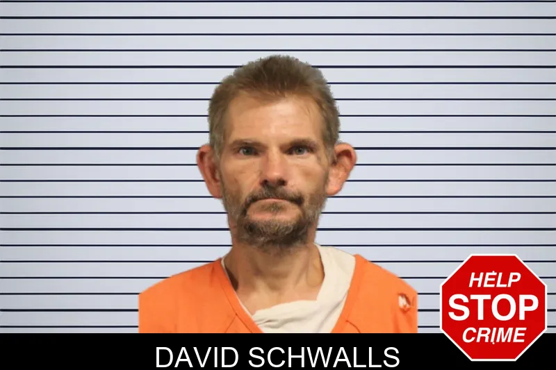 David Schwalls mugshot – Lumpkin County , Georgia David Schwalls mugshot