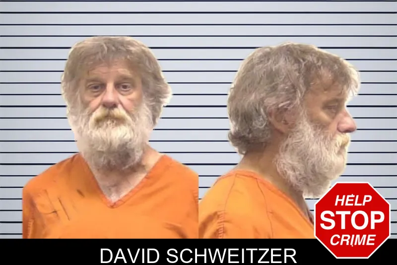 David Schweitzer mugshot