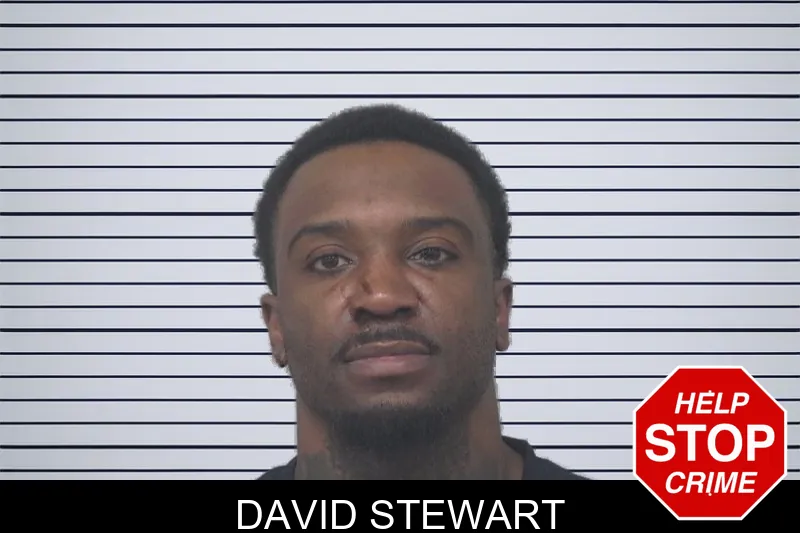 David Stewart mugshot – Gwinnett County , Georgia David Stewart mugshot