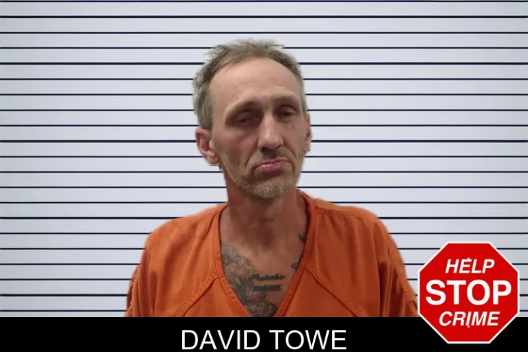 David Towe mugshot – Pickens County , Georgia David Towe
