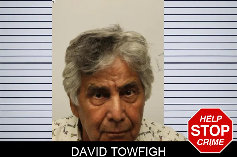 David Towfigh mugshot – Chatham County , Georgia David Towfigh mugshot