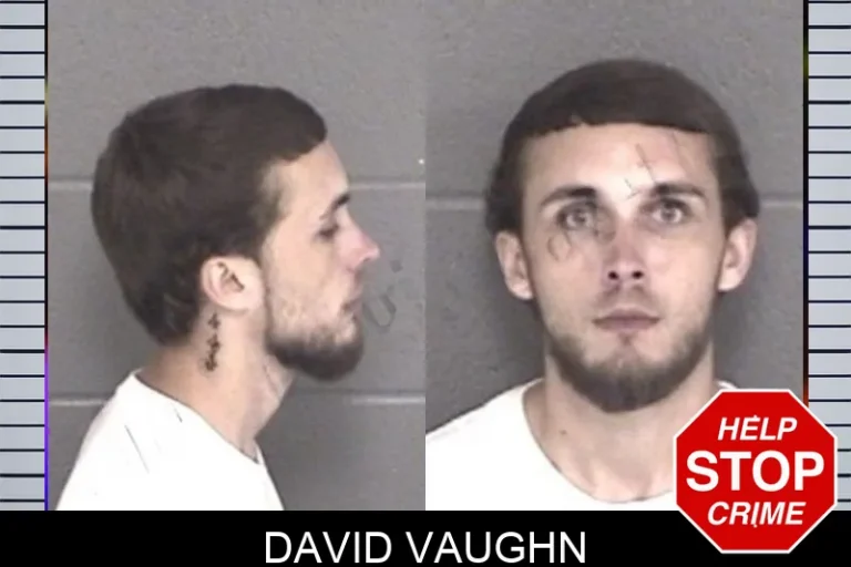 David Vaughn mugshot – Barrow County , Georgia David Vaughn