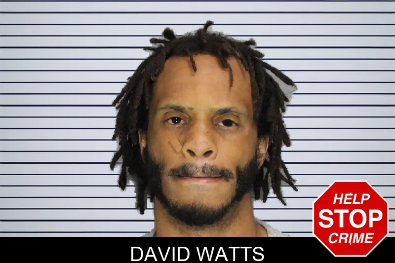 David Watts mugshot – Cobb County , Georgia David Watts mugshot