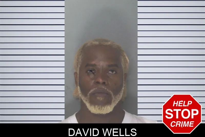 David Wells mugshot