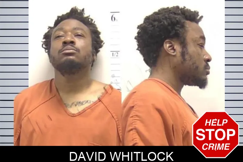 David Whitlock mugshot