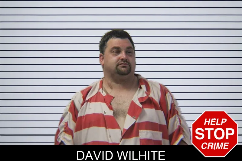 David Wilhite mugshot