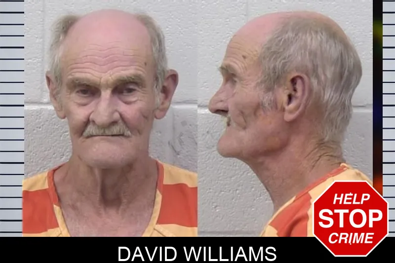 David Williams mugshot