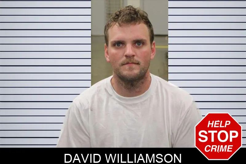 David Williamson mugshot