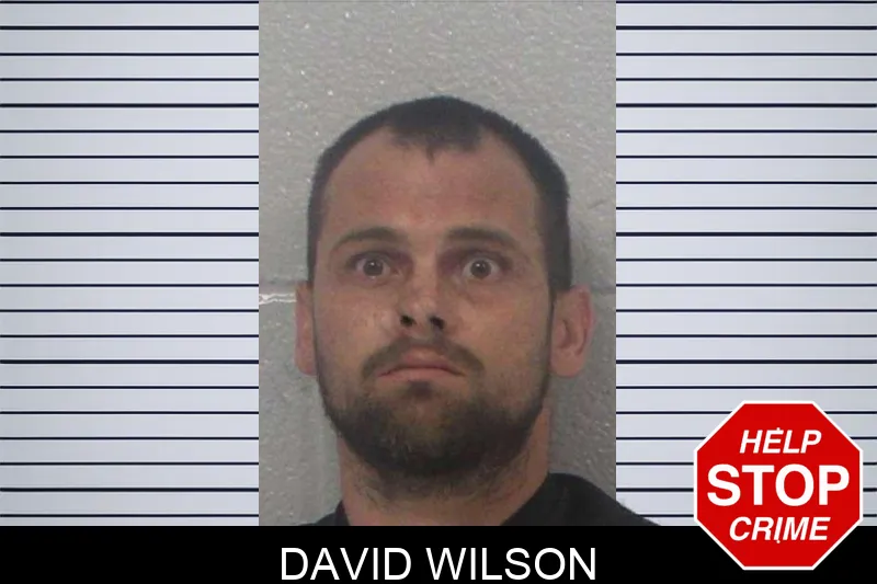 David Wilson mugshot