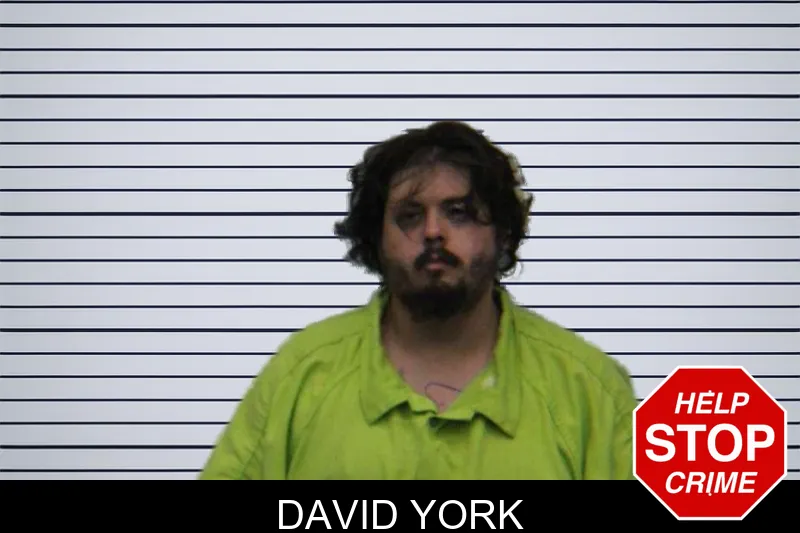 David York mugshot