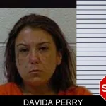 Davida Perry mugshot