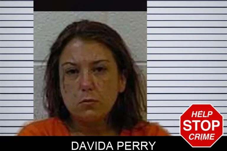 Davida Perry