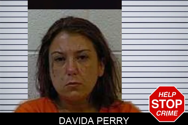 Davida Perry mugshot