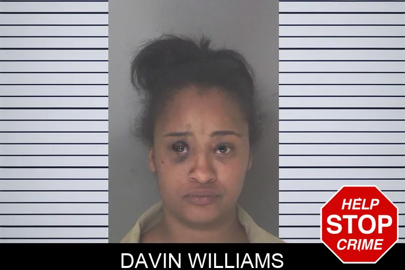 Davin Williams mugshot