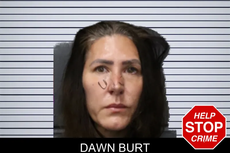 Dawn Burt mugshot