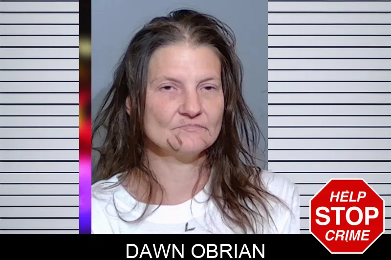 Dawn Obrian mugshot