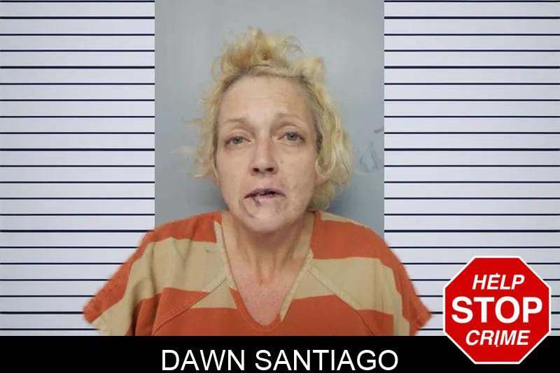 Dawn Santiago mugshot