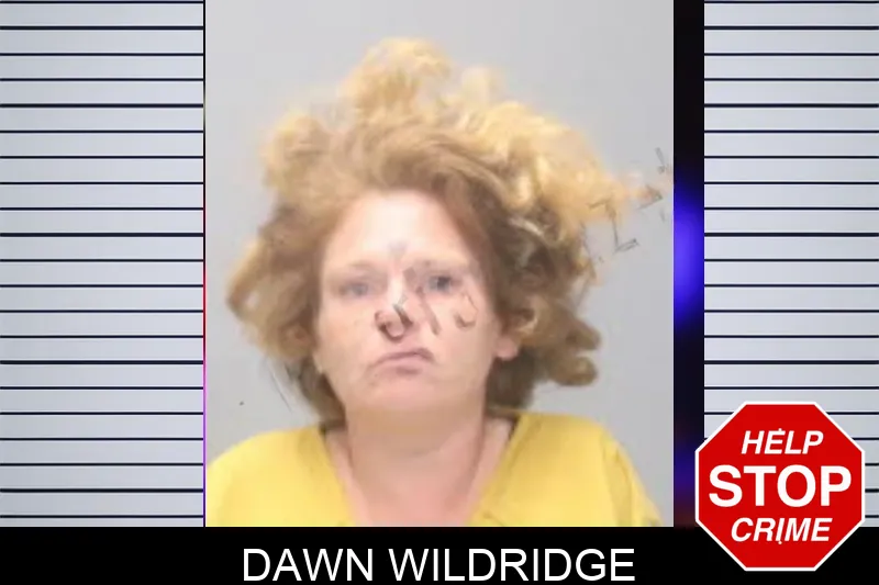 Dawn Wildridge mugshot