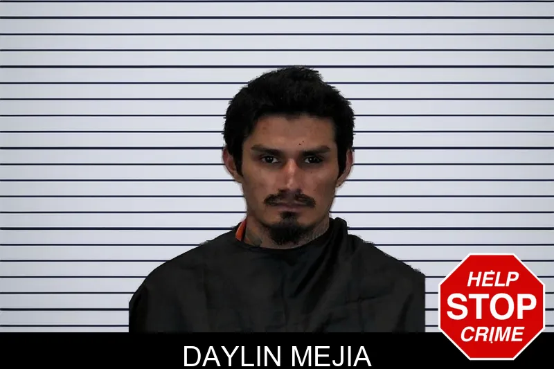 Daylin Mejia mugshot