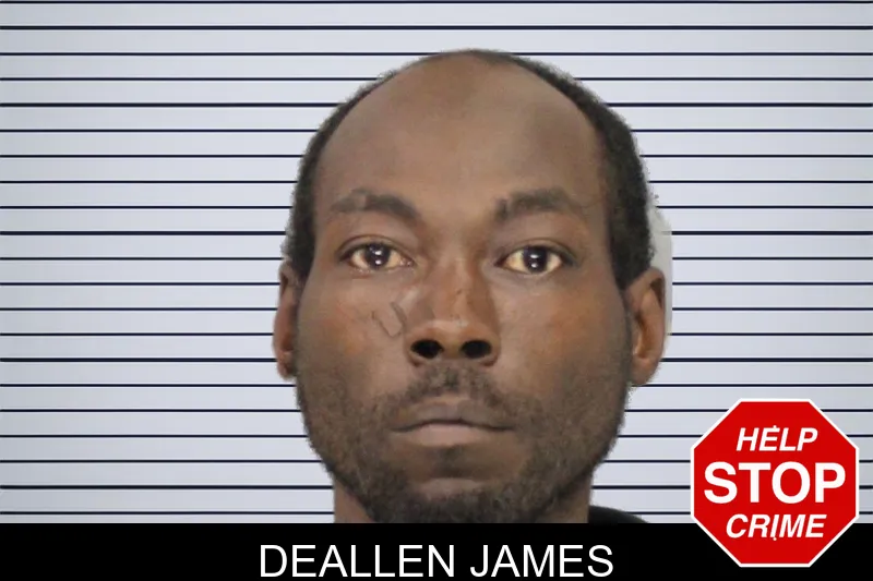 Deallen James mugshot
