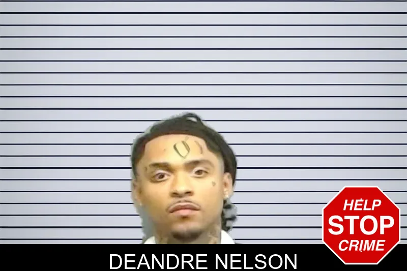 Deandre Nelson mugshot – Fulton County , Georgia Deandre Nelson mugshot