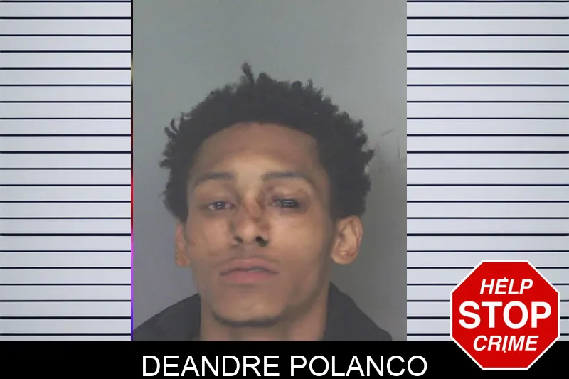 Deandre Polanco mugshot