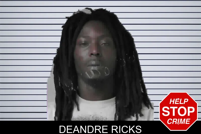 Deandre Ricks mugshot