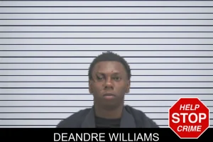Deandre Williams mugshot