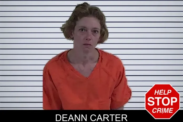 Deann Carter mugshot – Fannin County , Georgia Deann Carter