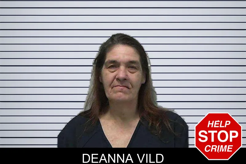 Deanna Vild mugshot – Gilmer County , Georgia Deanna Vild mugshot