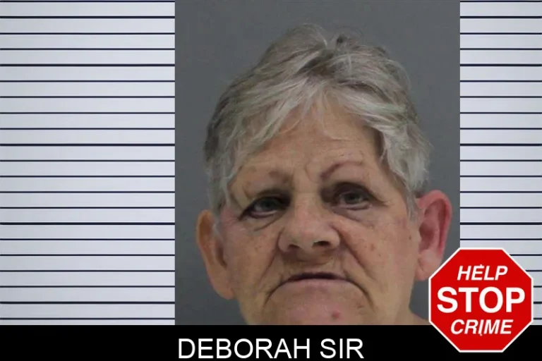 Deborah Sir mugshot – Rabun County , Georgia Deborah Sir