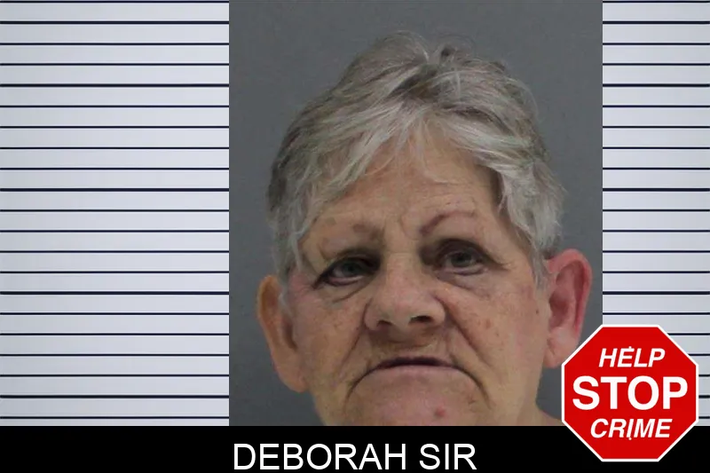 Deborah Sir mugshot – Rabun County , Georgia Deborah Sir mugshot