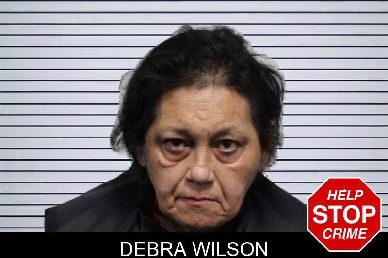 Debra Wilson mugshot