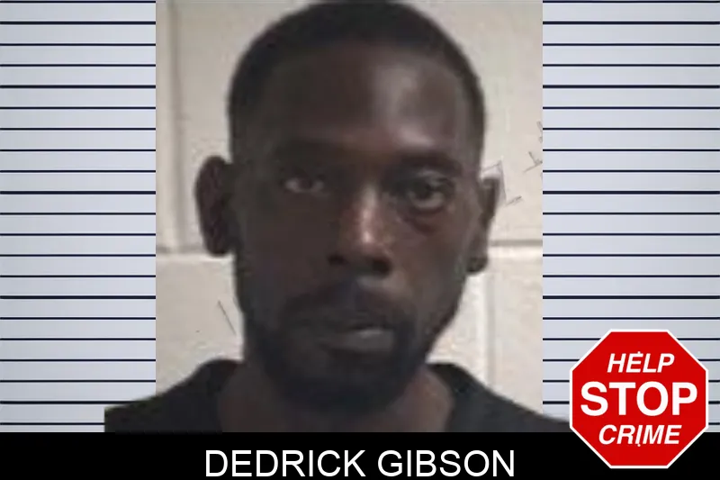 Dedrick Gibson mugshot