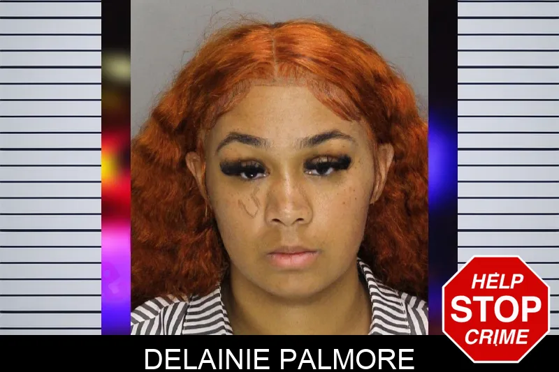 Delainie Palmore mugshot