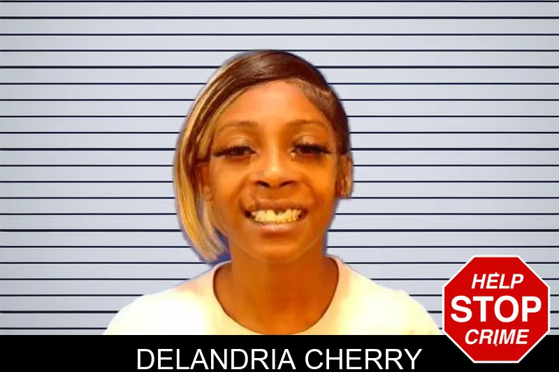 Delandria Cherry mugshot