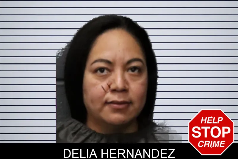 Delia Hernandez mugshot