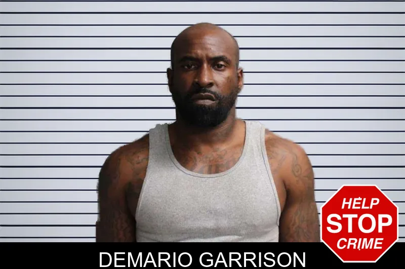 Demario Garrison mugshot