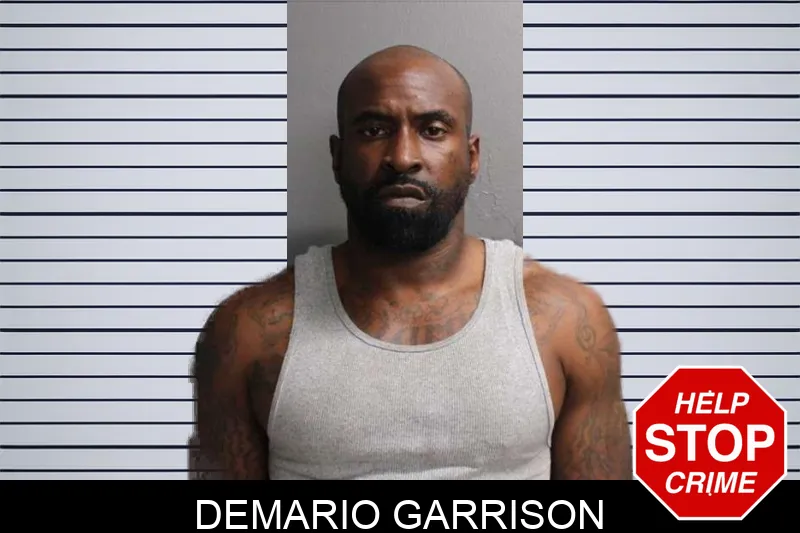 Demario Garrison mugshot