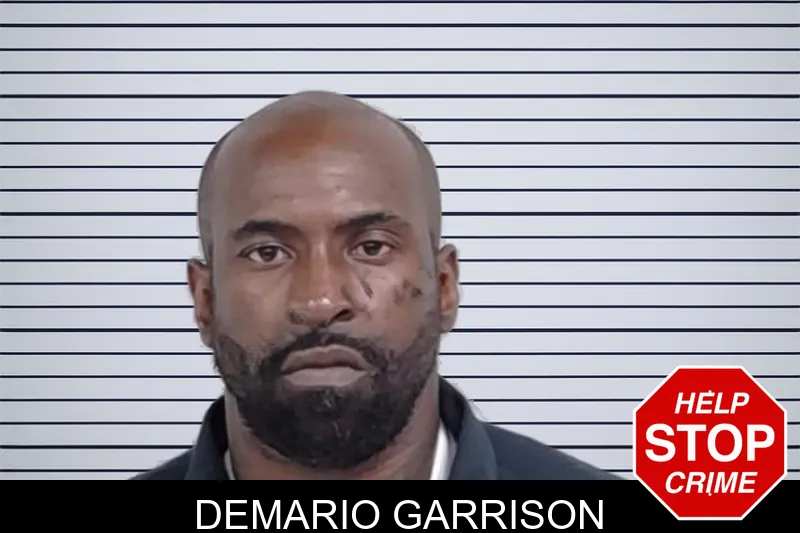 Demario Garrison mugshot – Lowndes County , Georgia Demario Garrison mugshot