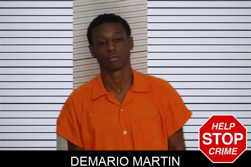 Demario Martin mugshot